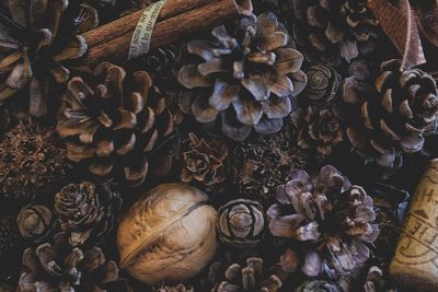 Full frame shot of flowers