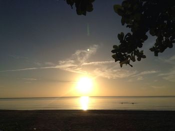 Scenic view of sea during sunset