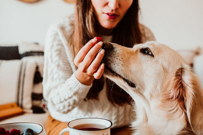 Midsection of woman feeding dog at home