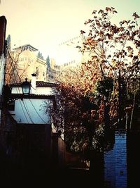 Houses against sky