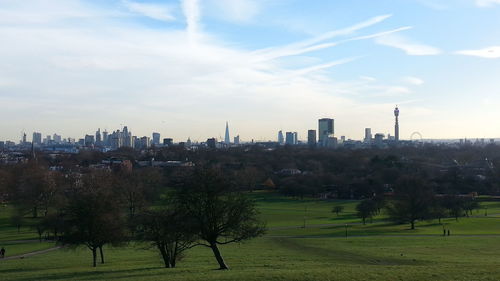 Trees and cityscape against sky