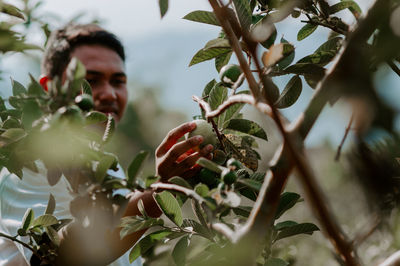 Low angle view of man growing on tree