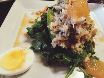 Close-up of food served in plate