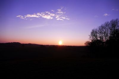 Silhouette trees against sky during sunset