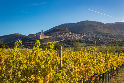 Scenic view of landscape against blue sky