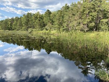 Reflection of trees in lake against sky