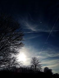 Low angle view of silhouette trees against sky