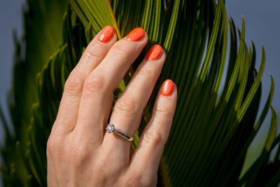 Close-up of woman hand holding red leaf
