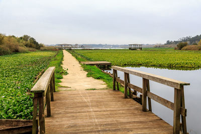 Empty footpath amidst field against sky