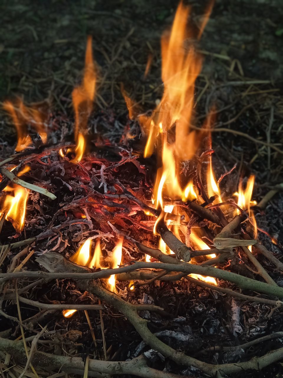burning, fire, flame, heat, nature, campfire, bonfire, glowing, no people, wood, land, firewood, log, outdoors, camping, orange color, field, plant, close-up, high angle view, day, motion