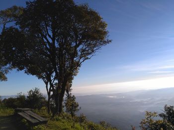 Scenic view of tree against sky at sunset