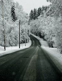 Road amidst trees during winter