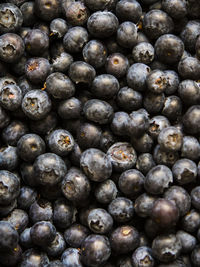 Full frame shot of blueberries