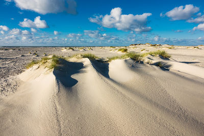 View of tire tracks in desert