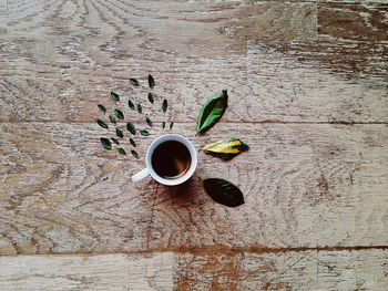 Directly above shot of tea cup with leaves arranged