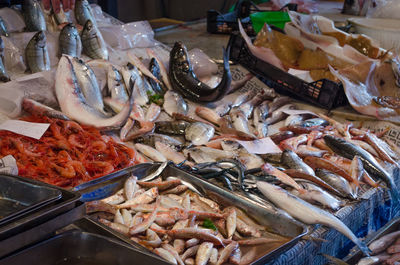 High angle view of fish for sale at market