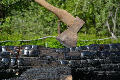 Stack of logs in forest