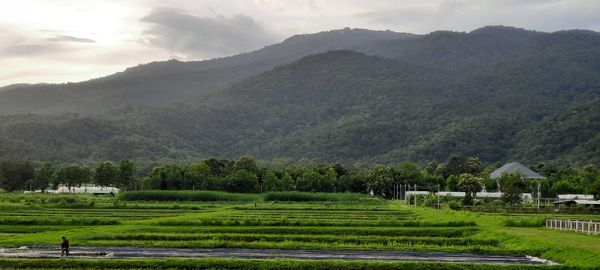 Scenic view of agricultural field by mountains against sky