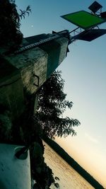 Low angle view of tree by building against sky