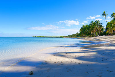 Scenic view of beach against blue sky