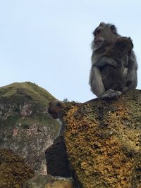 Monkey statue against clear sky