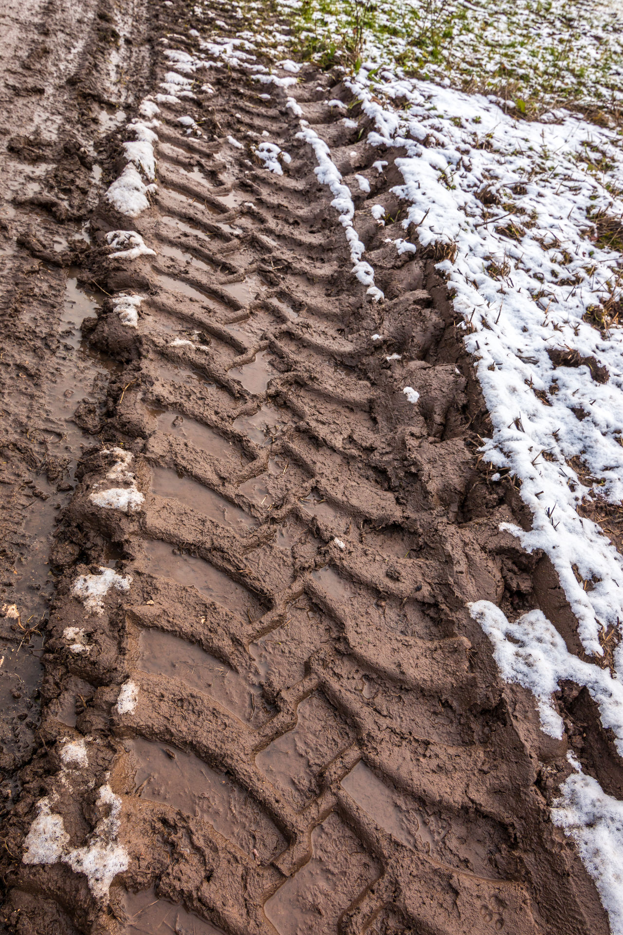 Tire tracks