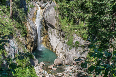 Scenic view of waterfall in forest