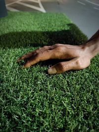 Close-up of person lying on grassy field