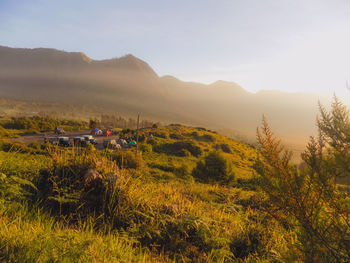 Scenic view of landscape against sky