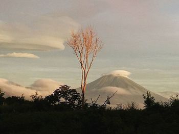 Scenic view of field against cloudy sky