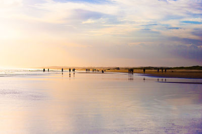 Scenic view of beach against sky during sunset