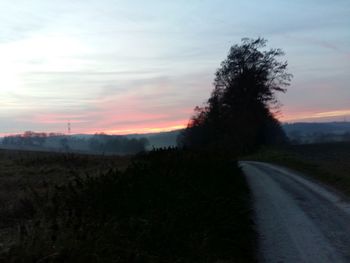 Road amidst trees against sky during sunset