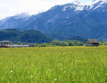 Scenic view of field by mountains against sky