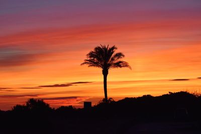 Silhouette palm trees against romantic sky at sunset