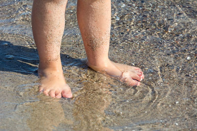 Low section of person standing on wet sand at beach