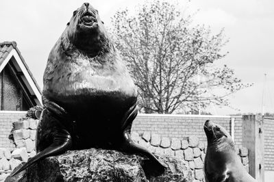 Low angle view of building