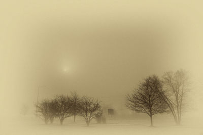 Bare trees on field against sky during winter