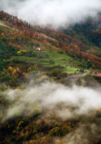 Scenic view of forest in foggy weather