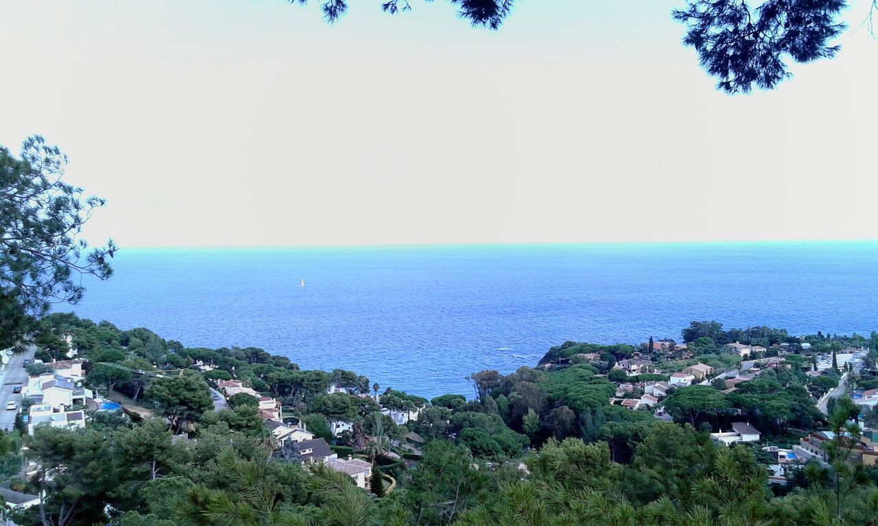 sea, horizon over water, water, tree, scenics, blue, tranquil scene, clear sky, beauty in nature, tranquility, high angle view, nature, copy space, coastline, idyllic, ocean, sky, seascape, day, outdoors