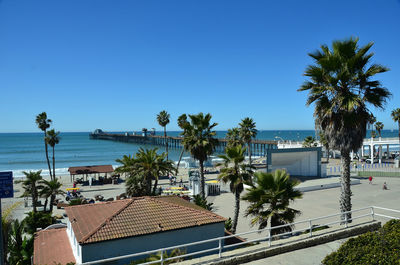 Palm trees by swimming pool against sea and clear sky