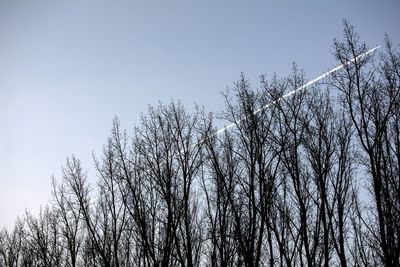 Low angle view of bare trees against clear sky