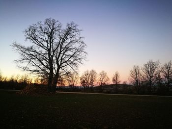 Silhouette bare trees on field against sky during sunset