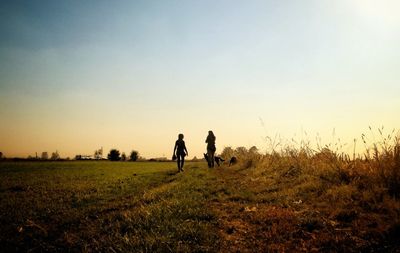 Rear view of silhouette friends walking on field against sky during sunset