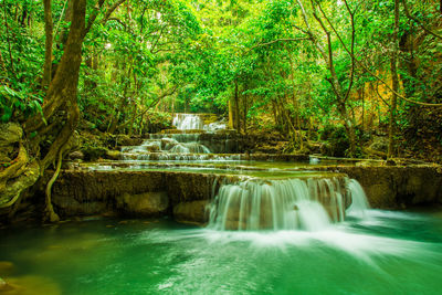 Scenic view of waterfall in forest