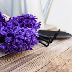 Close-up of purple flower on table