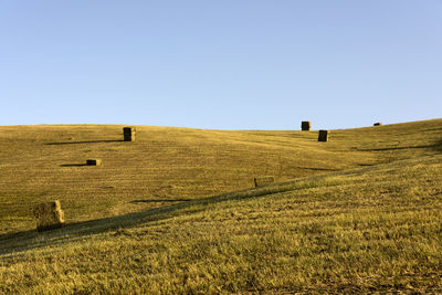 Scenic view of field against clear sky