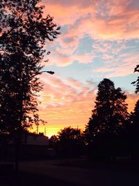 Silhouette of trees at sunset