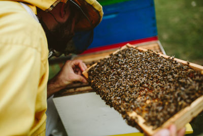 Beekeeper working over beehive at farm