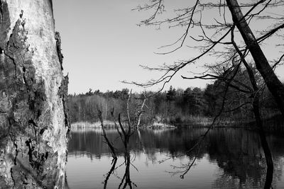 Reflection of trees in lake against sky