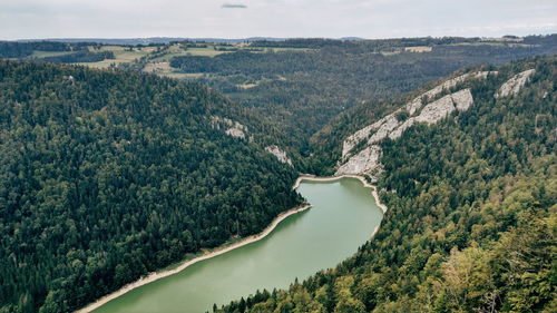 Aerial view of lake amidst forest